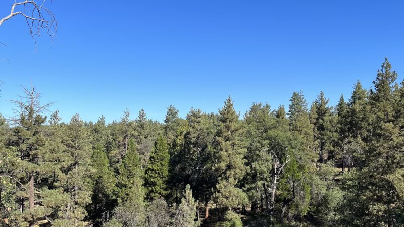 Red Tail Roost Trailhead - Mt Laguna, CA