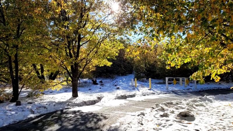 Red Tail Roost Trailhead - Mt Laguna, CA