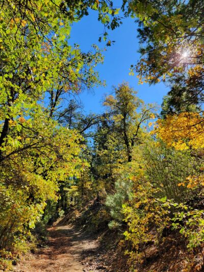 Red Tail Roost Trailhead - Mt Laguna, CA