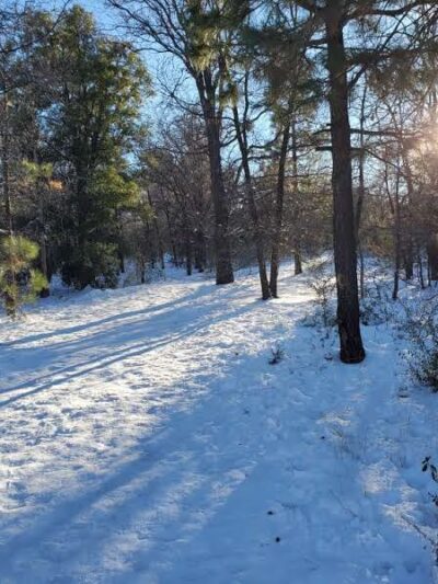 Red Tail Roost Trailhead - Mt Laguna, CA
