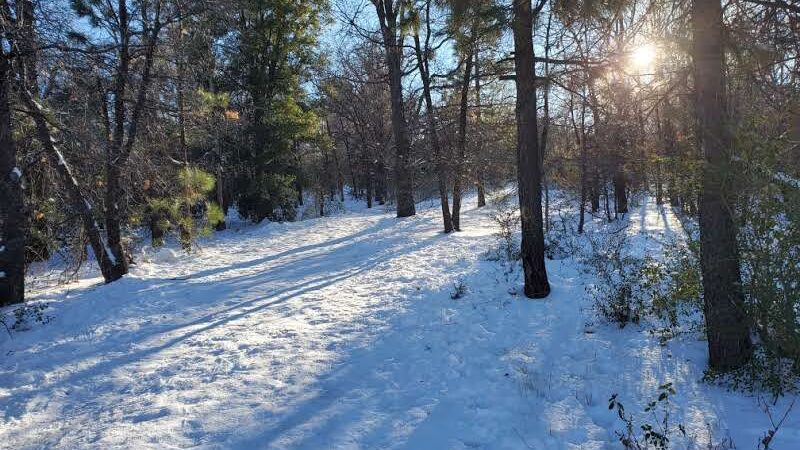 Red Tail Roost Trailhead - Mt Laguna, CA