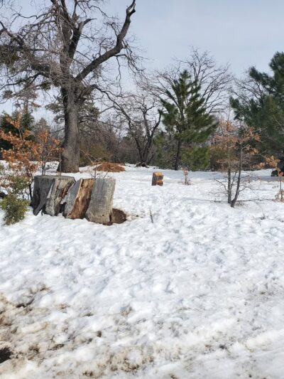 Red Tail Roost Trailhead - Mt Laguna, CA