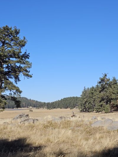 Agua Dulce Trailhead - Mt Laguna, CA