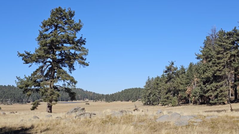 Agua Dulce Trailhead - Mt Laguna, CA