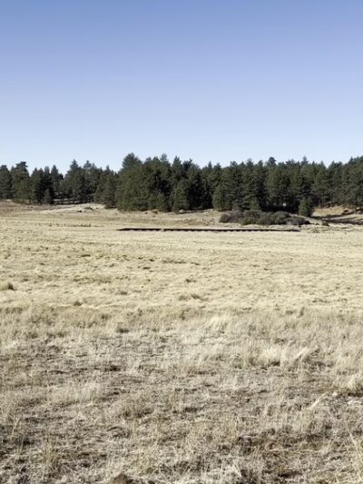 Agua Dulce Trailhead - Mt Laguna, CA