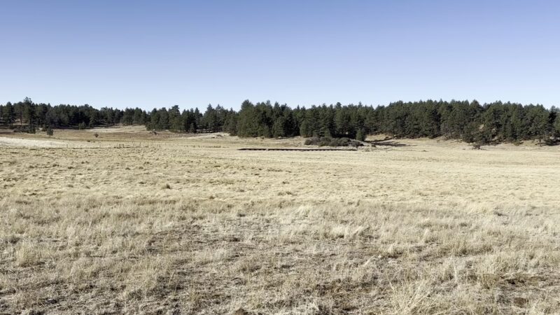 Agua Dulce Trailhead - Mt Laguna, CA