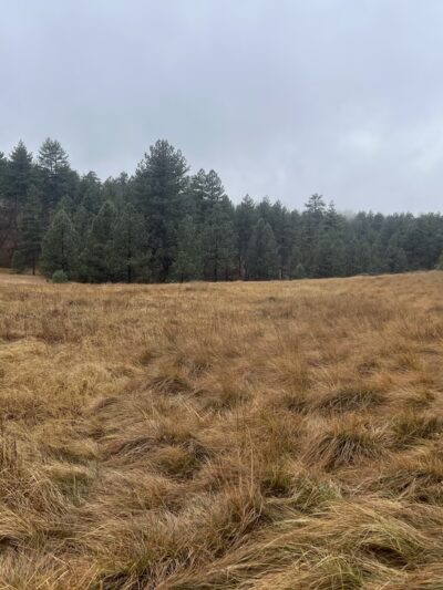 Agua Dulce Trailhead - Mt Laguna, CA