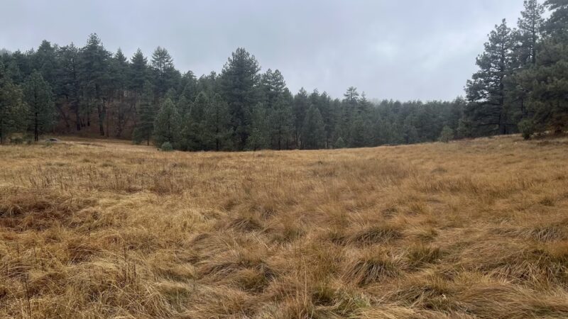 Agua Dulce Trailhead - Mt Laguna, CA