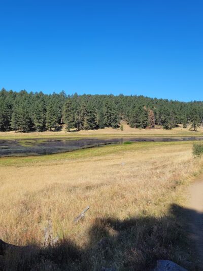 Big Laguna Trailhead - Mt Laguna, CA