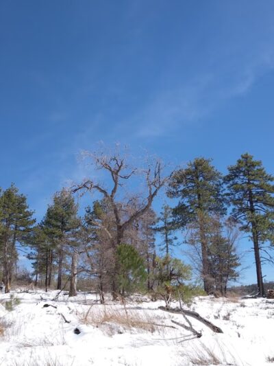 Big Laguna Trailhead - Mt Laguna, CA