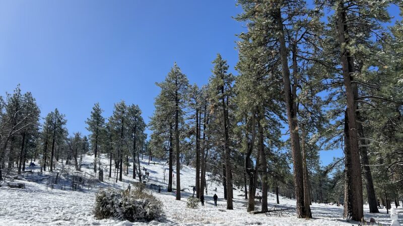 Laguna Mountain Recreation Area - Mt Laguna, CA