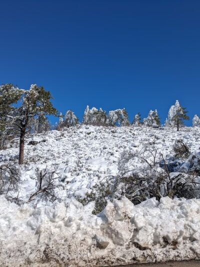Laguna Mountain Recreation Area - Mt Laguna, CA