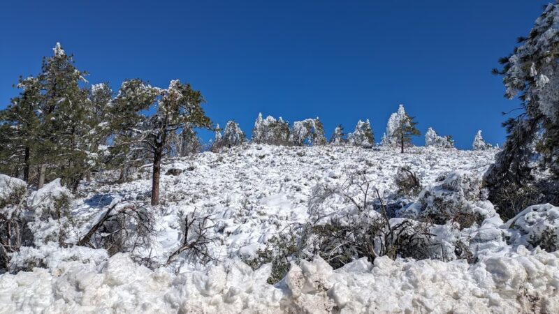 Laguna Mountain Recreation Area - Mt Laguna, CA