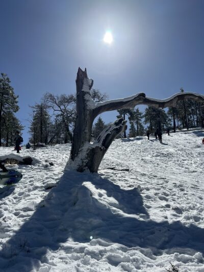 Laguna Mountain Recreation Area - Mt Laguna, CA