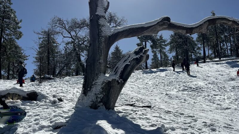 Laguna Mountain Recreation Area - Mt Laguna, CA