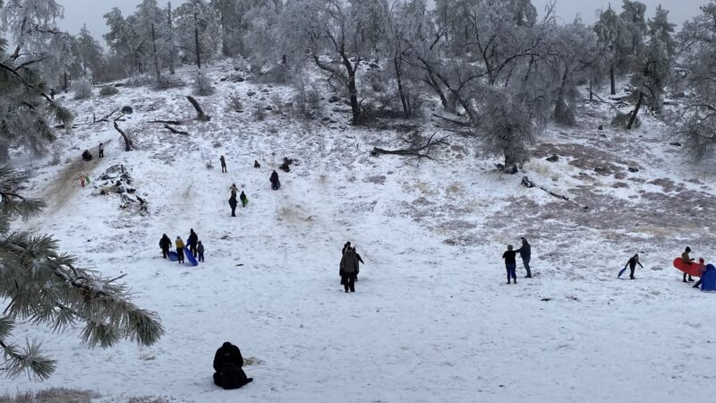 Meadows Information Kiosk Trailhead - Mt Laguna, CA
