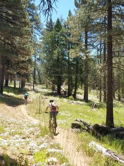 Meadows Information Kiosk Trailhead - Mt Laguna, CA