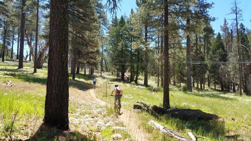 Meadows Information Kiosk Trailhead - Mt Laguna, CA