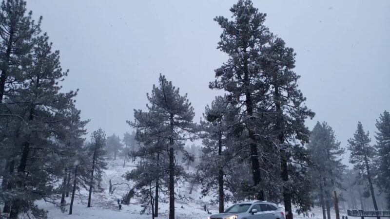 Meadows Information Kiosk Trailhead - Mt Laguna, CA