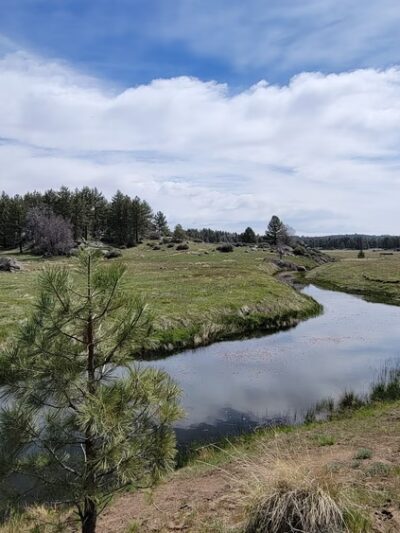 Water Of The Woods - Mt Laguna, CA