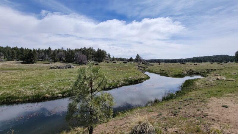 Water Of The Woods - Mt Laguna, CA