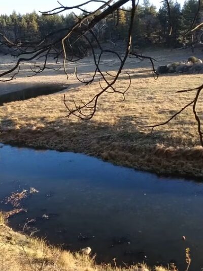 Water Of The Woods - Mt Laguna, CA