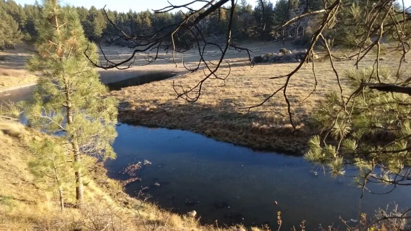 Water Of The Woods - Mt Laguna, CA