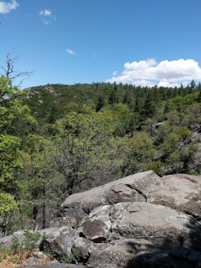 Water Of The Woods - Mt Laguna, CA