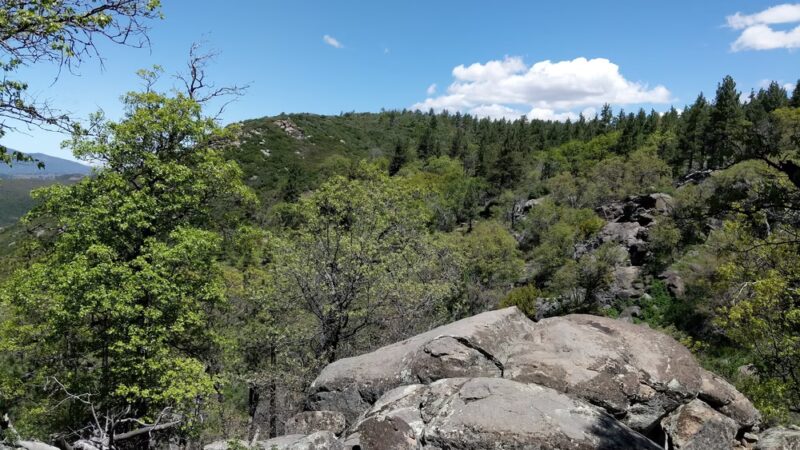 Water Of The Woods - Mt Laguna, CA