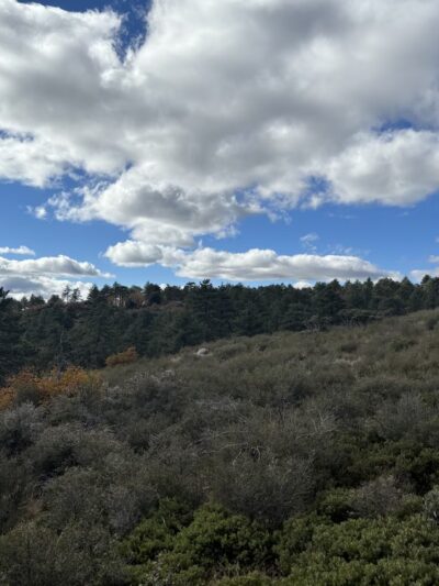Wooded Hill Nature Trail - Mt Laguna, CA