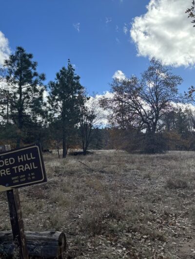 Wooded Hill Nature Trail - Mt Laguna, CA