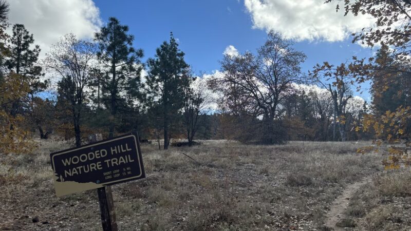 Wooded Hill Nature Trail - Mt Laguna, CA