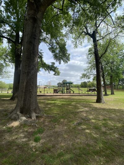Dellwood Park - Mt Pleasant, TX