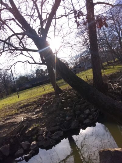 Dellwood Park - Mt Pleasant, TX