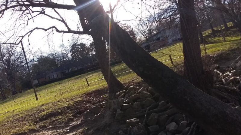 Dellwood Park - Mt Pleasant, TX