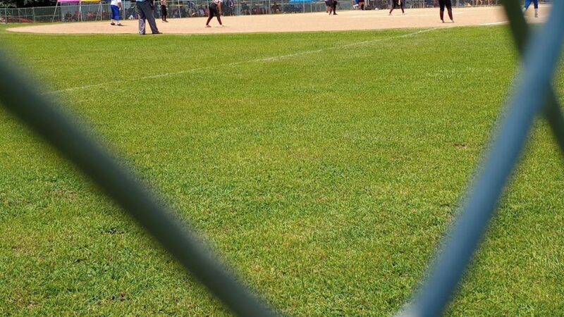 Heritage Adult Softball Complex - Mt Pleasant, TX
