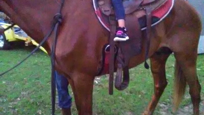 Keith Park - Mt Pleasant, TX