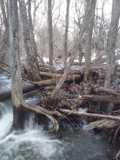 Mt Vision - Mt Vision, NY