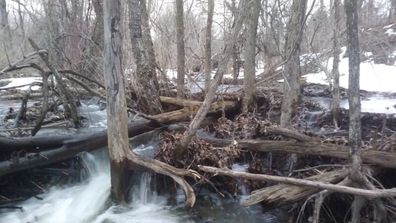 Mt Vision - Mt Vision, NY