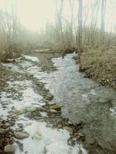 Mt Vision - Mt Vision, NY