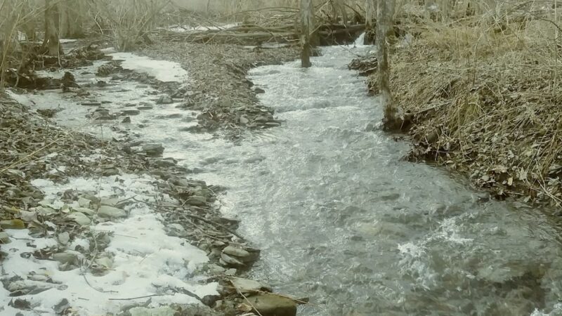 Mt Vision - Mt Vision, NY