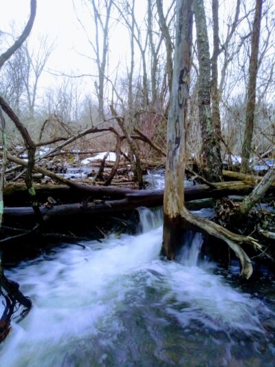 Mt Vision - Mt Vision, NY