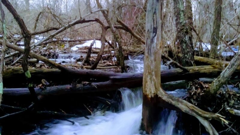 Mt Vision - Mt Vision, NY