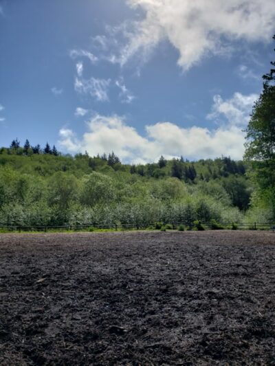 Tails and Trails Dog Park - Mukilteo, WA