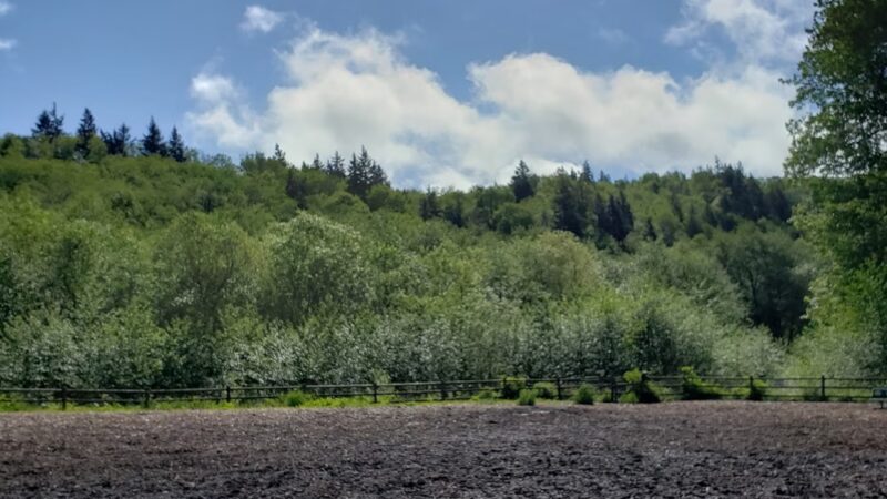 Tails and Trails Dog Park - Mukilteo, WA