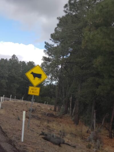 Mule Creek - Mule Creek, NM