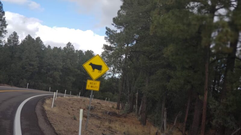 Mule Creek - Mule Creek, NM