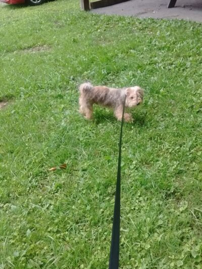 The Hill Playground - Mullens, WV