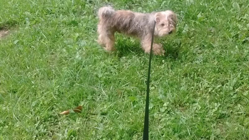 The Hill Playground - Mullens, WV