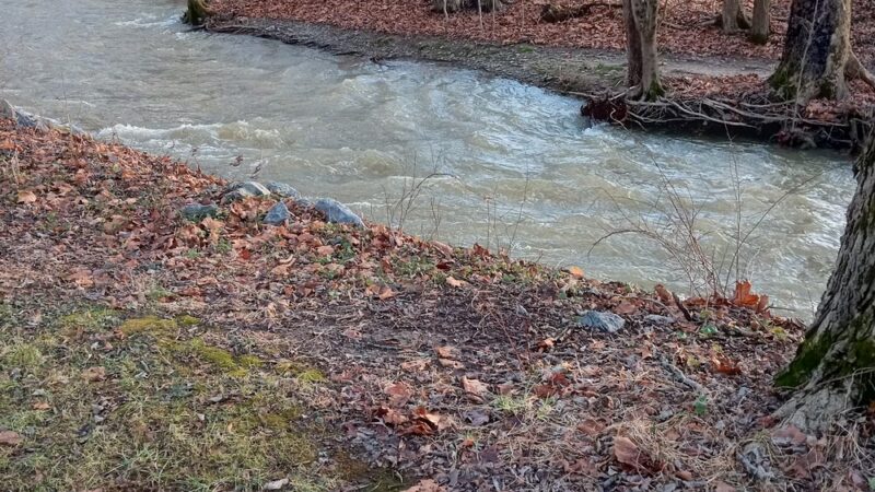 Muncy Area Lions Park - Muncy, PA